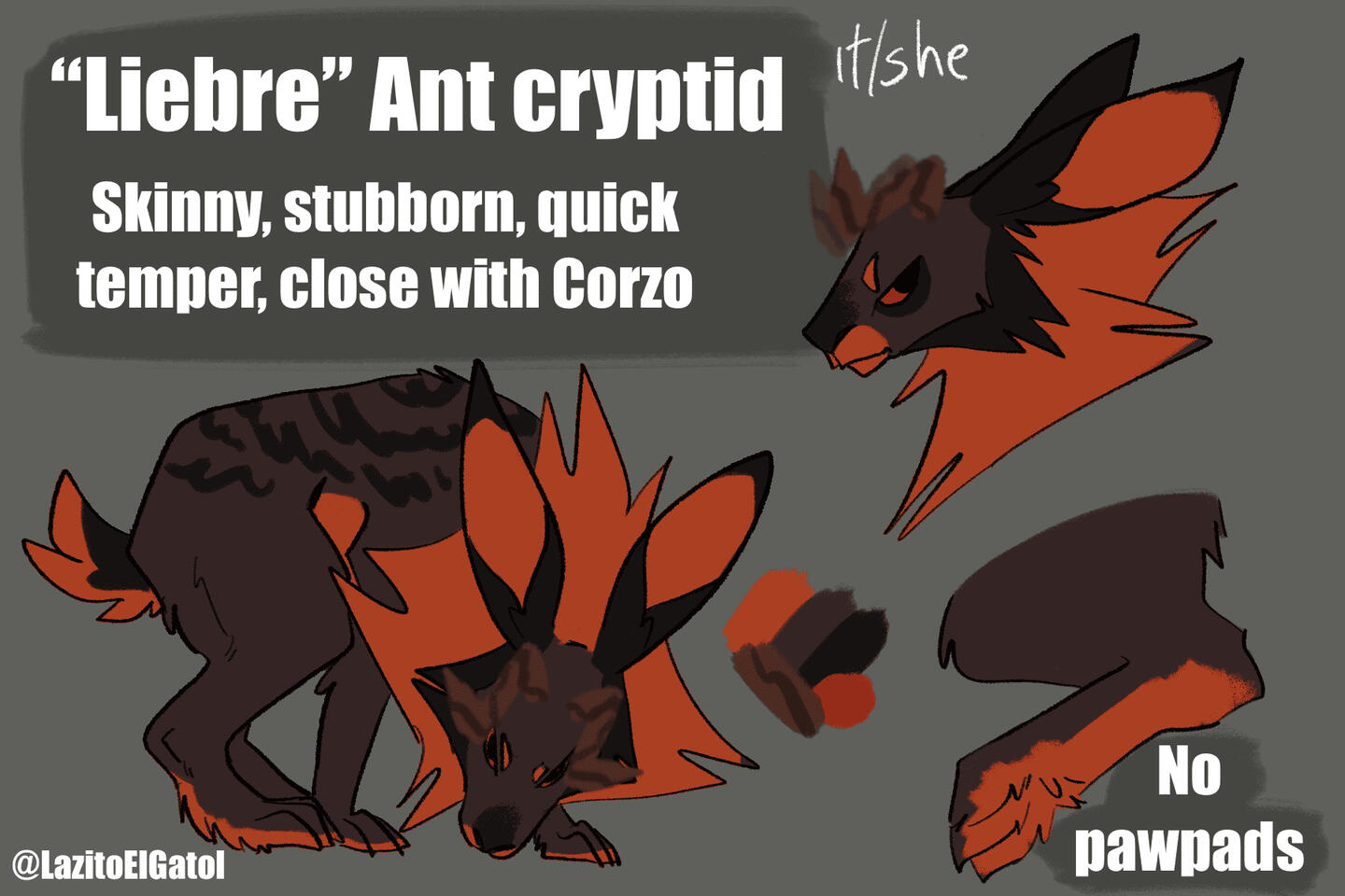 A reference for my fursona