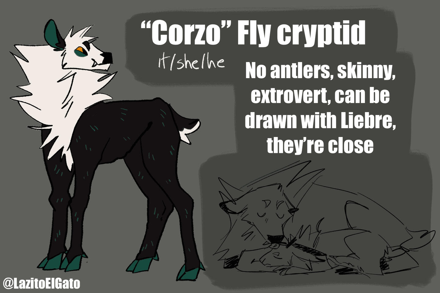 A reference for my fursona